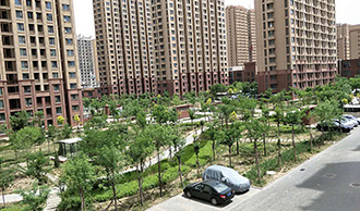 201905221558517119408801.jpg 005.jpg