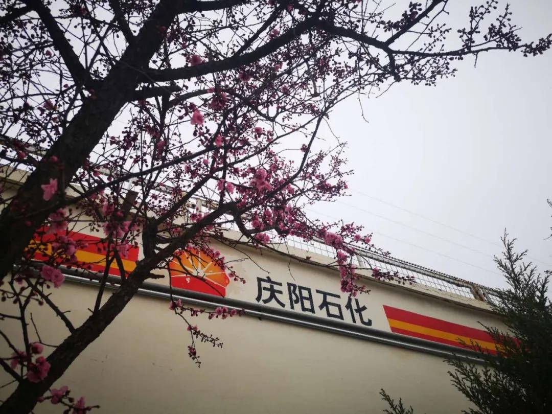 202005281590632778185122.jpg 微信圖片_20200528102823.jpg